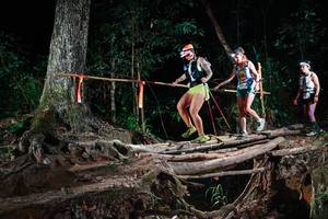 BIB: 
                            <button type="button" onclick="openModal(27371217)" class="btn btn-primary btn-sm float-right btn-popup" data-toggle="modal" data-target=".modal-high-quality">
                        <i class="fas fa-shopping-cart"></i> Add to Cart
                    </button>
                                            <button type="button" onclick="isThisMe(27371217, true)" class="btn btn-success btn-sm float-right btn-popup btn-isme hidden" data-toggle="tooltip" data-placement="bottom" title="นี่คือรูปของคุณใช่ไหม คลิกที่นี่เพื่อเอาเข้าอัลบั้ม">
                        <i class="fas fa-plus"></i> Add to album
                    </button>
                    <button type="button" onclick="isThisMe(27371217, false)" class="btn btn-warning btn-sm float-right btn-popup btn-isnotme hidden">
                        <i class="fas fa-ban"></i> Remove from album
                    </button>